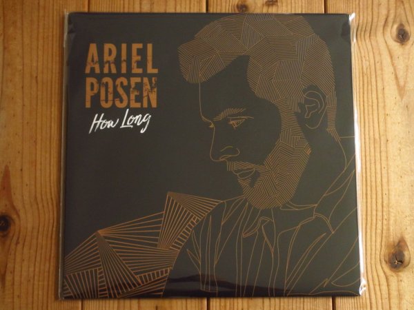 画像1: 未開封デッドストック！スライドギターのニューヒーロー、アリエルポーゼンの記念すべき1stソロ2019年作がアナログ盤で入荷！■Ariel Posen / How Long (1)