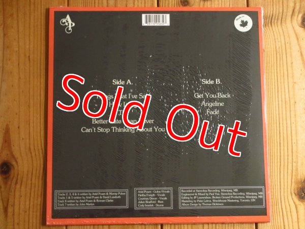 画像2: スライドギターのニューヒーロー、アリエルポーゼンの3rdソロ2021年作がアナログ盤で入荷！■Ariel Posen / Familiar Ground (2)