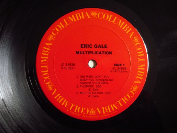 画像3: Eric Gale / Multiplication (3)