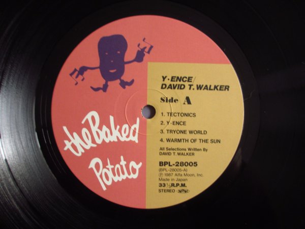 画像3: David T. Walker / Y・Ence (3)