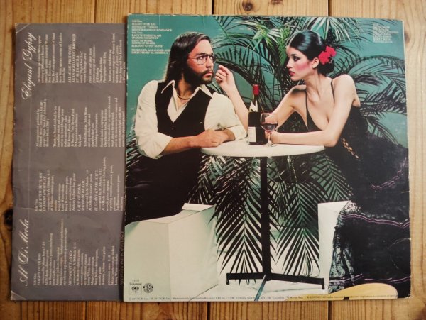 画像2: Al Di Meola / Elegant Gypsy (2)