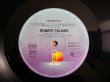 画像3: Robert Palmer / Double Fun (3)