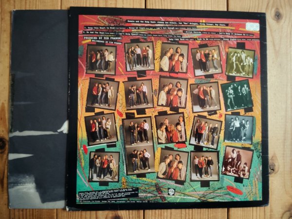 画像2: Bonnie Raitt / Green Light (2)