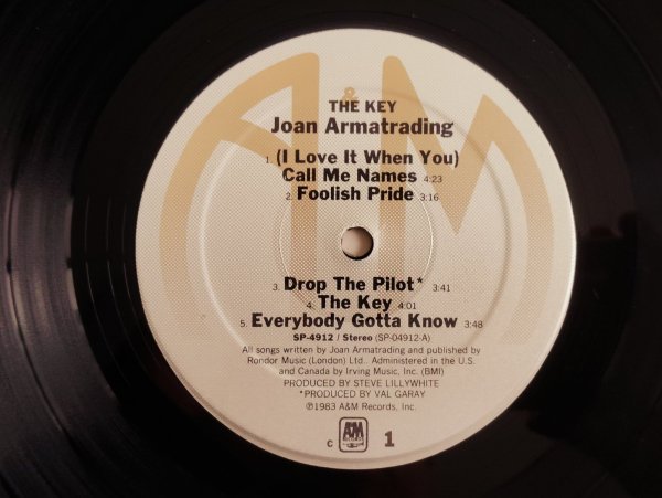 画像3: Joan Armatrading / The Key (3)