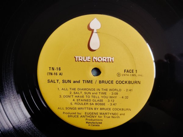 画像4: Bruce Cockburn / Salt, Sun And Time (4)