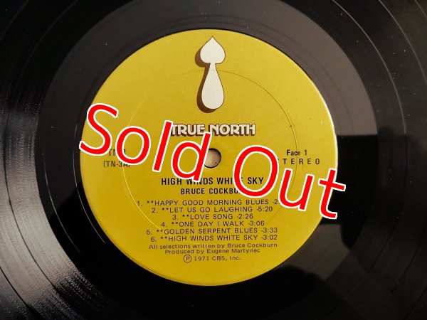 画像4: Bruce Cockburn / High Winds White Sky (4)