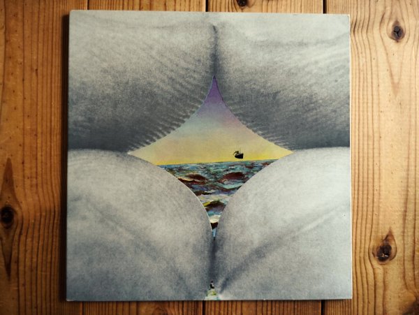 画像1: Bruce Cockburn / Salt, Sun And Time (1)