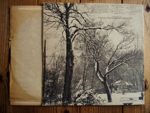 画像3: Bruce Cockburn / High Winds White Sky (3)