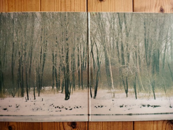 画像2: Bruce Cockburn / High Winds White Sky (2)