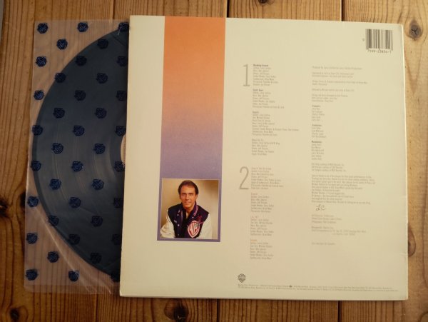 画像2: Larry Carlton / Friends (2)