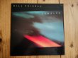 画像1: Bill Frisell / Rambler (1)