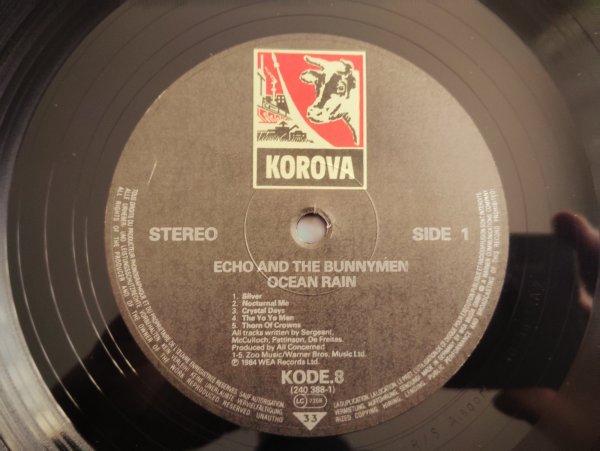 画像3: Echo & The Bunnymen / Ocean Rain (3)