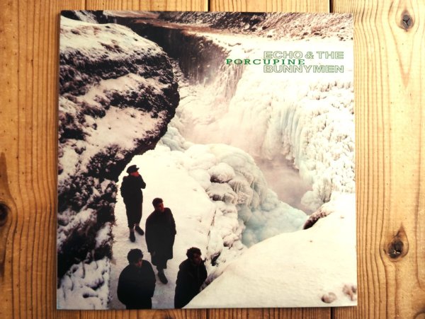 画像1: Echo & The Bunnymen / Porcupine (1)