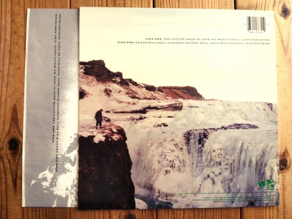 画像2: Echo & The Bunnymen / Porcupine (2)