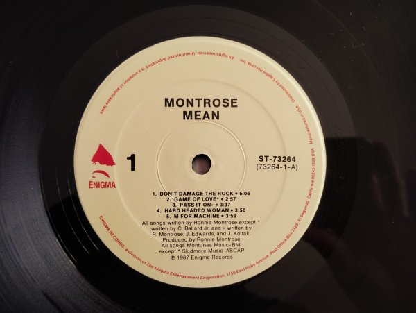 画像3: Montrose / Mean (3)