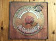 画像1: Grateful Dead / American Beauty (1)