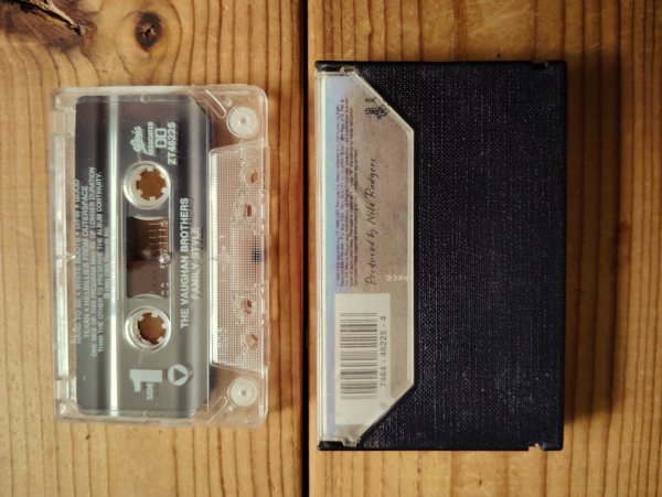 画像2: Stevie Ray Vaughan / The Vaughan Brothers - Family Style (2)