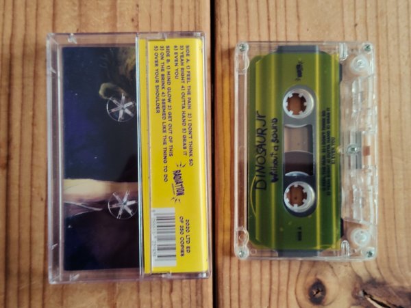 画像2: Dinosaur Jr / Without A Sound (2)