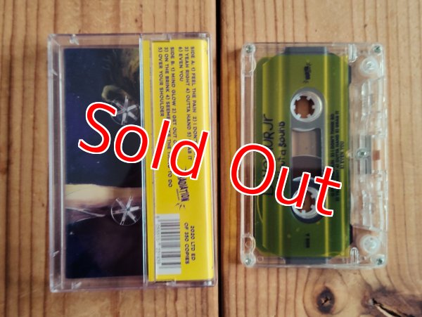 画像2: Dinosaur Jr / Without A Sound (2)