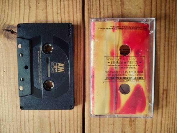 画像2: Suzanne Vega / 99.9F° (2)