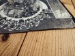 画像7: Grateful Dead / American Beauty (7)