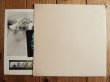 画像3: The Beatles / The Beatles (White Album) (3)