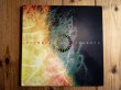 画像1: Animals As Leaders / Animals As Leaders (1)