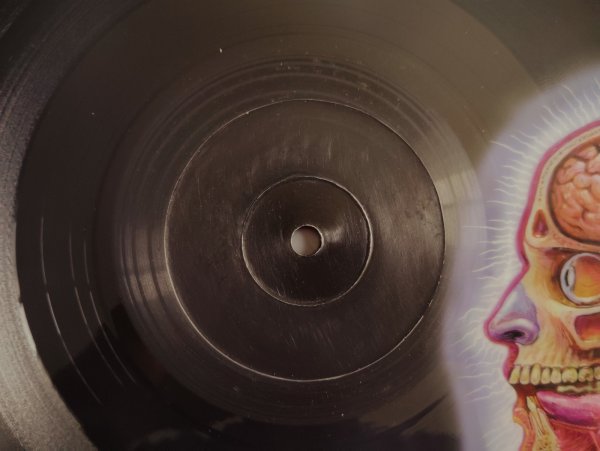 画像5: Tool / Lateralus (5)