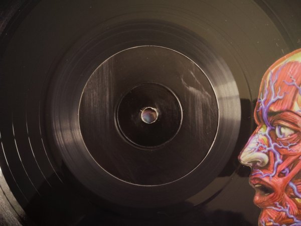 画像4: Tool / Lateralus (4)