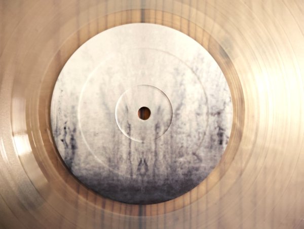 画像3: Animals As Leaders / Weightless (3)