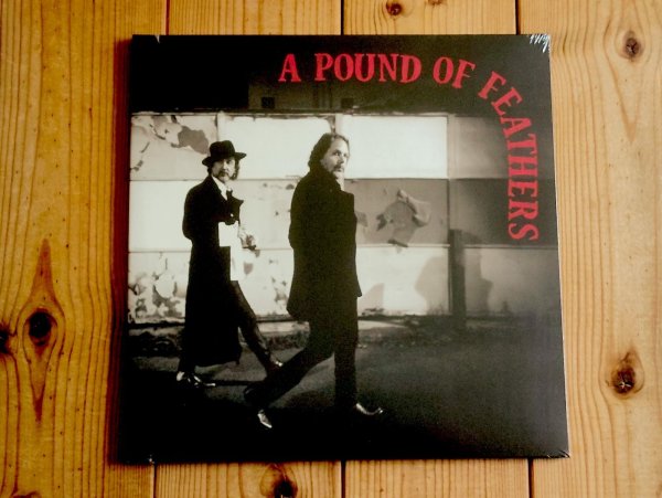 画像1: ブラッククロウズ通算10作目となる2026年作品がアナログ盤で入荷！■The Black Crowes / A Pound Of Feathers (1)