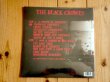 画像2: ブラッククロウズ通算10作目となる2026年作品がアナログ盤で入荷！■The Black Crowes / A Pound Of Feathers (2)