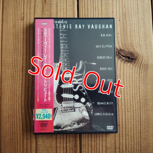 画像1: V.A. (Eric Clapton, B.B. King, Bonnie Raitt, Buddy Guy, Robert Cray, Dr. John, etc.) / A Tribute To Stevie Ray Vaughan (1)