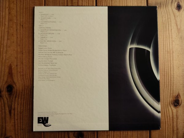 画像2: Reggie Lucas / Survival Themes (2)