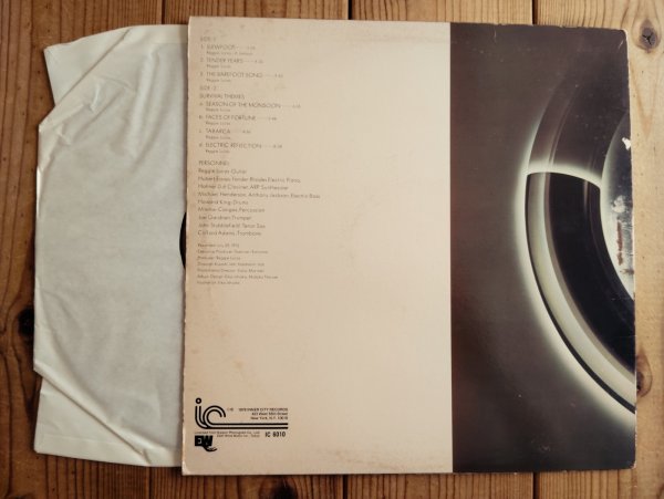 画像2: Reggie Lucas / Survival Themes (2)