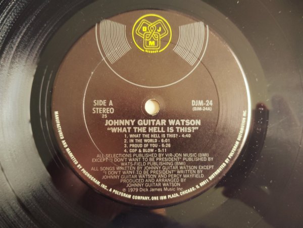 画像3: Johnny Guitar Watson / What The Hell Is This? (3)