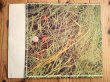 画像3: Ian Carr / Belladonna (3)