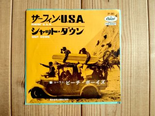 アナプロ200g重量盤モノラル仕様！□Beach Boys / Pet Sounds - Guitar