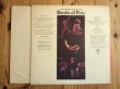 画像2: Mahavishnu Orchestra / Birds Of Fire (2)