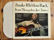 画像2: Ivan Boogaloo Joe Jones / Snake Rhythm Rock (2)