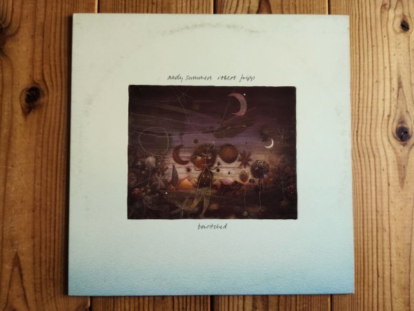 画像1: Andy Summers & Robert Fripp / Bewitched (1)