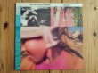 画像1: Pat Metheny Group / Still Life (Talking) (1)