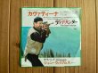 画像1: John Williams = ジョン・ウィリアムス / Cavatina = カヴァティーナ （映画：ディア・ハンター） (1)