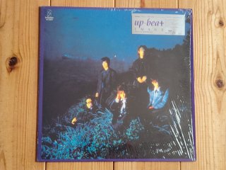 Hi-Standard / Growing Up - Guitar Records