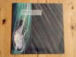 画像1: Dennis Coffey / Under The Moonlight (1)