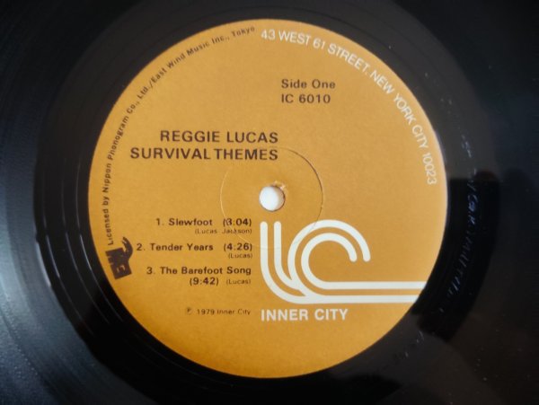 画像3: Reggie Lucas / Survival Themes (3)