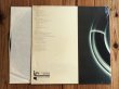 画像2: Reggie Lucas / Survival Themes (2)
