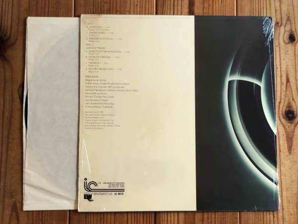 画像2: Reggie Lucas / Survival Themes (2)