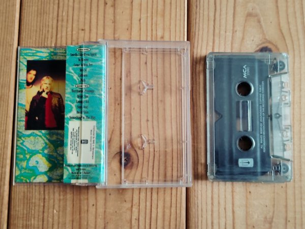 画像2: Nirvana / Nevermind  (2)
