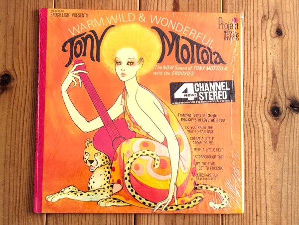画像1: Tony Mottola With The Groovies / Warm, Wild & Wonderful (1)